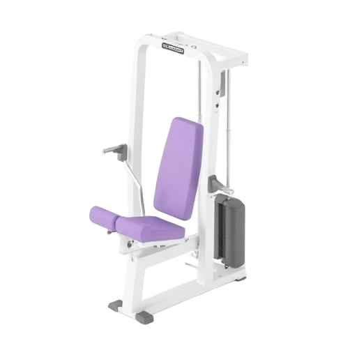 Chest Press
