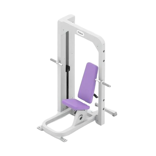 Leg Press